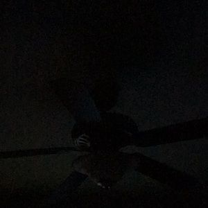 Meet your Posher, Ericeric